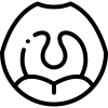 tonsils